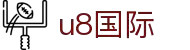 首页-U8国际-「品质引领发展,专注成就未来」
